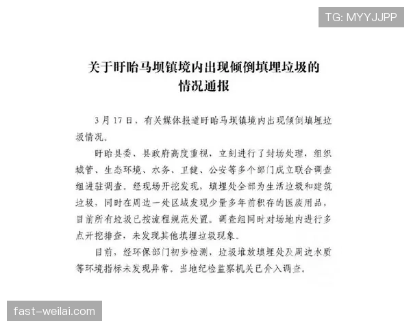 纪律委员会处罚规则解析：何时介入与影响判罚结果？