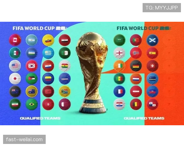 2026世界杯官方排名决定解析